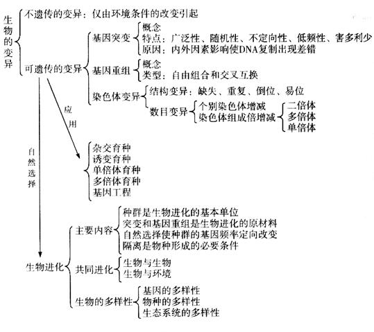 第3399章 欣赏美，没错吧（求月票）【澳门·威斯尼斯wns